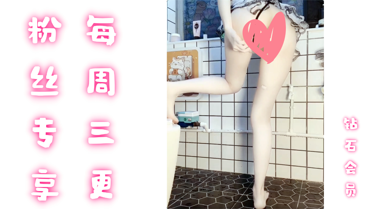 钻石会员1期